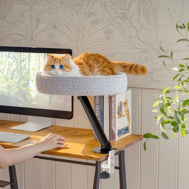 Adjustable Desktop Cat Bed with Soft Nest and Climbing Frame