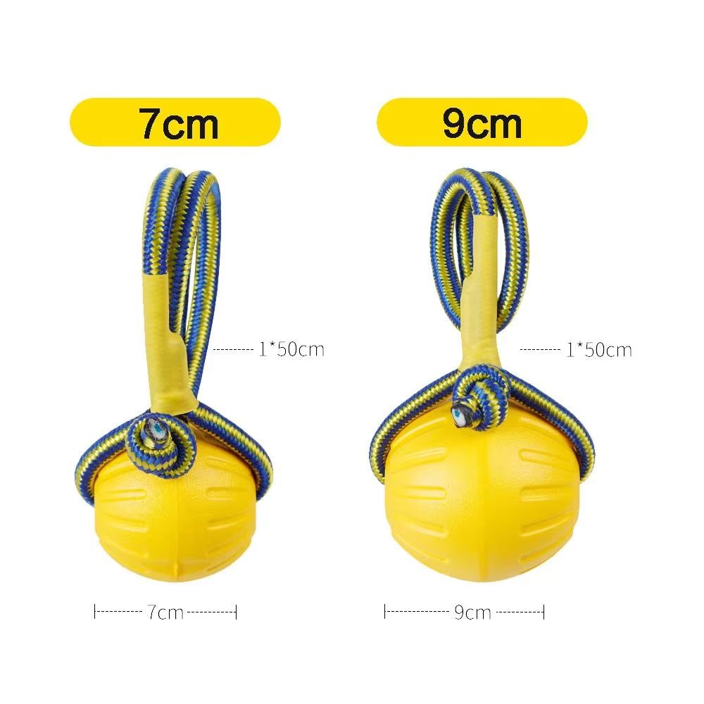 Indestructible Rubber Dog Training and Fetch Ball Toy