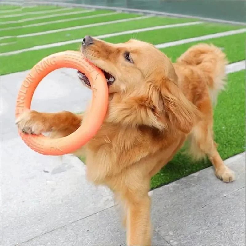 Floating Dog Training Ring Toy