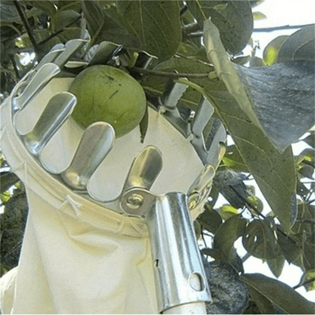 Extendable Fruit Picker Basket Tool for High Tree Harvesting