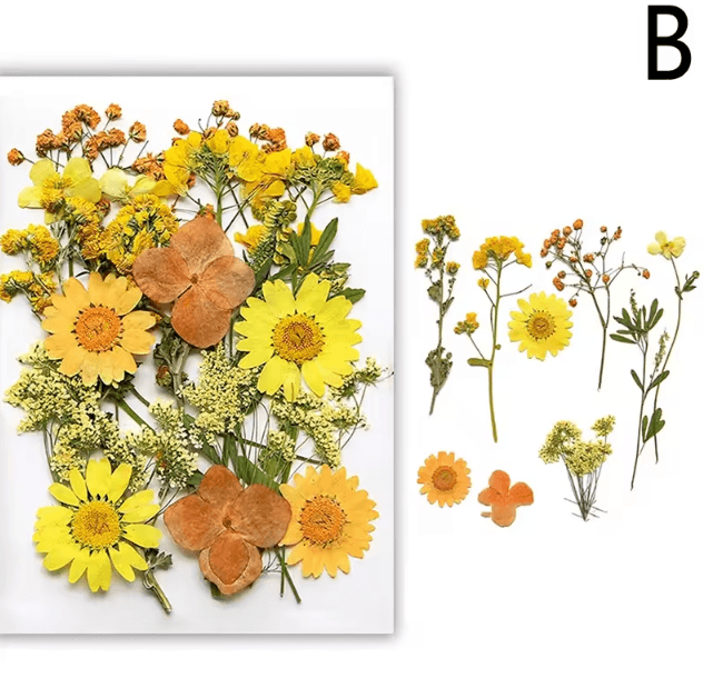 Natural Dried Flower Resin Fillers – Real Floral Nail Art & DIY Craft Decoration Set
