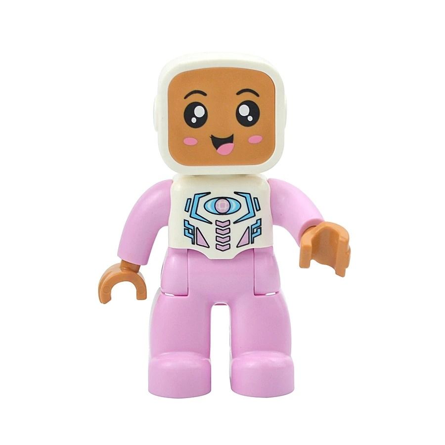 Large Scale Character Building Block Collection