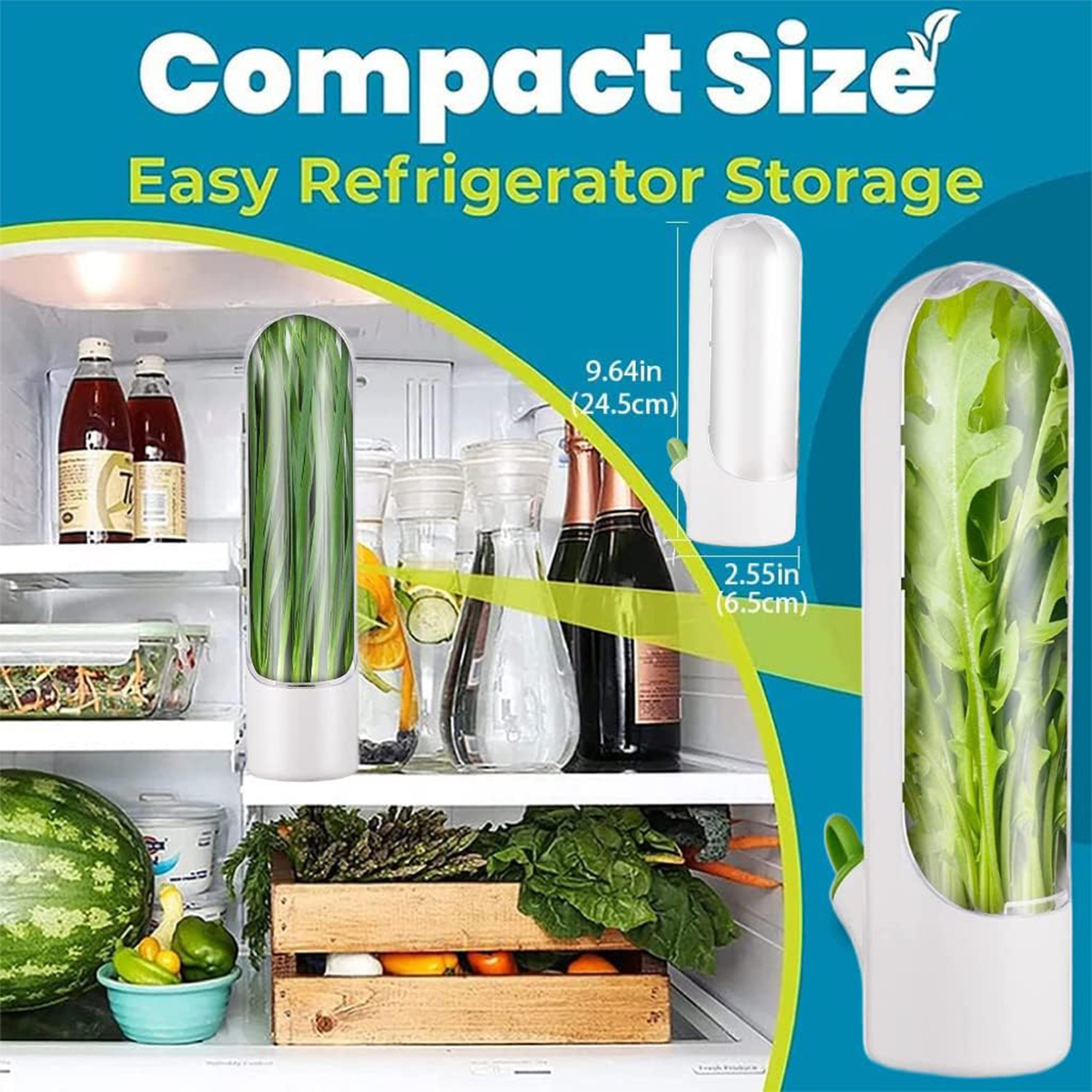 Herb Saver Storage Container Fresh Herb Keeper Vanilla Vegetables Fresh Preservation Bottle for Refrigerator Kitchen