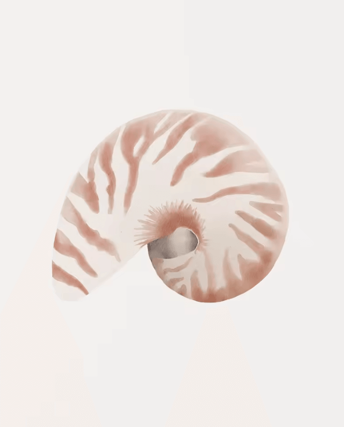 Watercolor Seashell & Starfish Canvas Wall Art Set – Coastal Ocean Home Decor