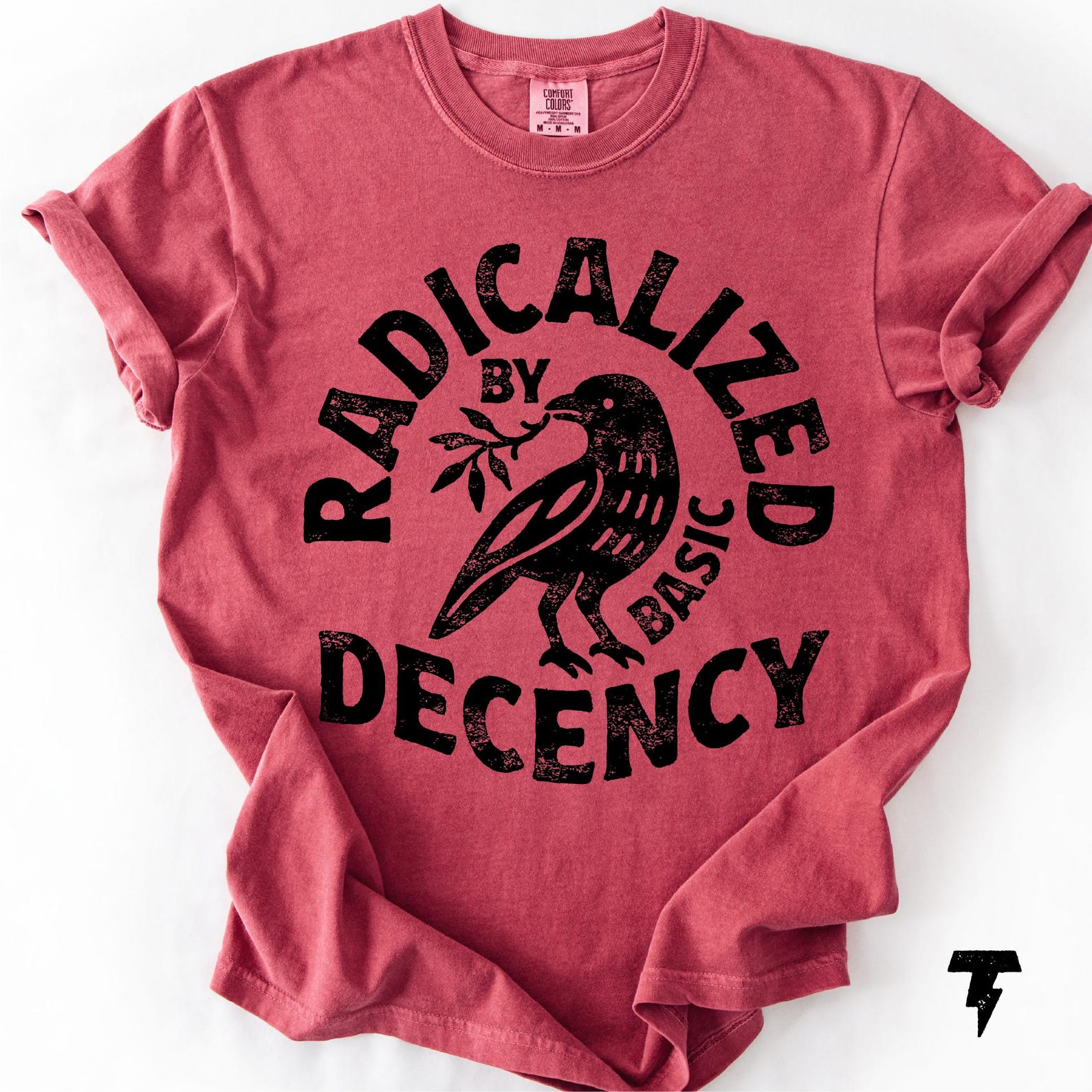Radicalized By Basic Decency Shirt Social Justice Statement Graphic Tee Activist Outfit