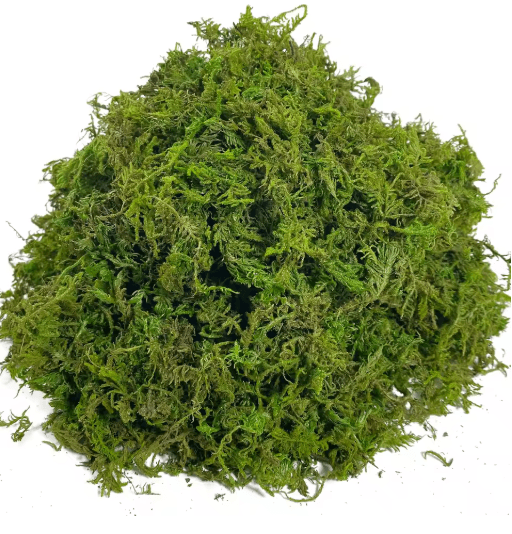Artificial Craft Moss Realistic Fake Moss for Plant Decor & DIY Centerpieces