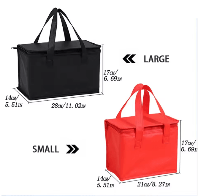 Portable Insulated Lunch and Cooler Bag