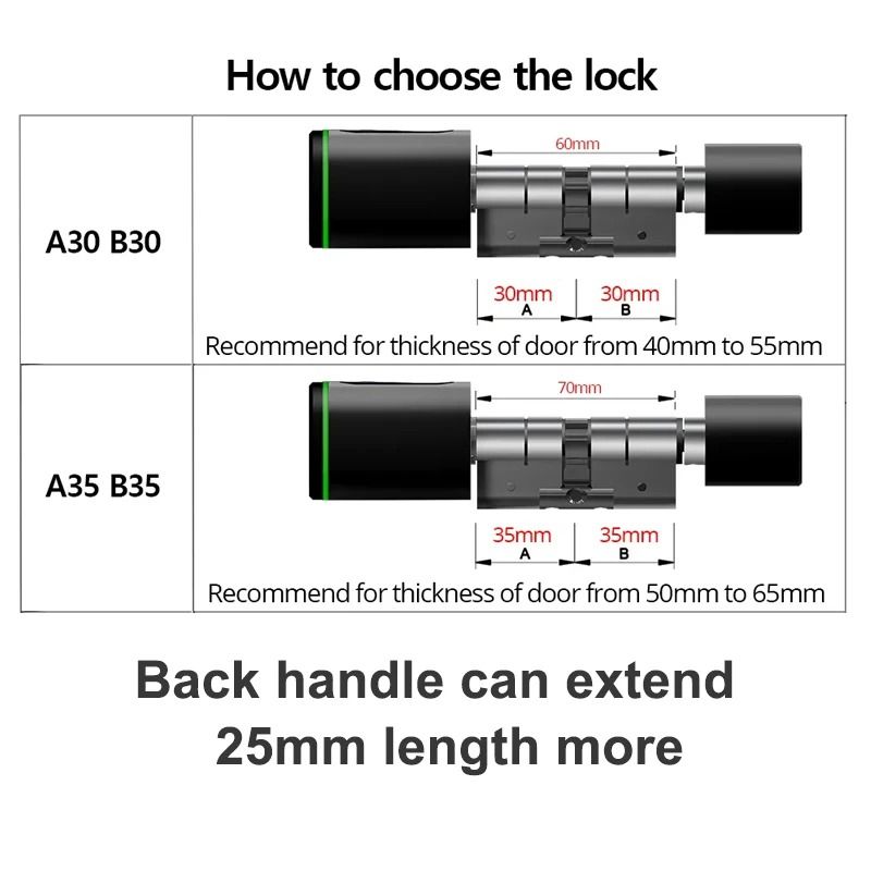 Raykube V1 Smart Cylinder Lock Tuya BLE Fingerprint