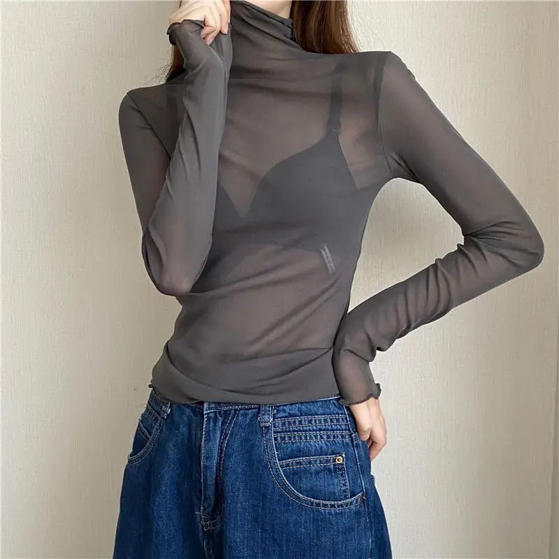 Sheer Transparent Mesh Long-Sleeve Crop Turtleneck Top