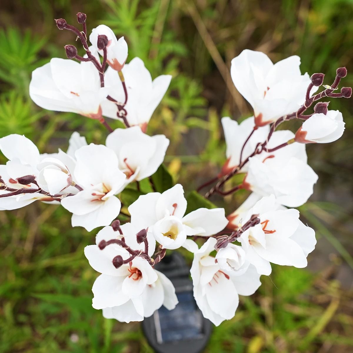 Solar Magnolia Garden Stake Lights | IPP66 Waterproof Outdoor LED Holiday Floral Decor