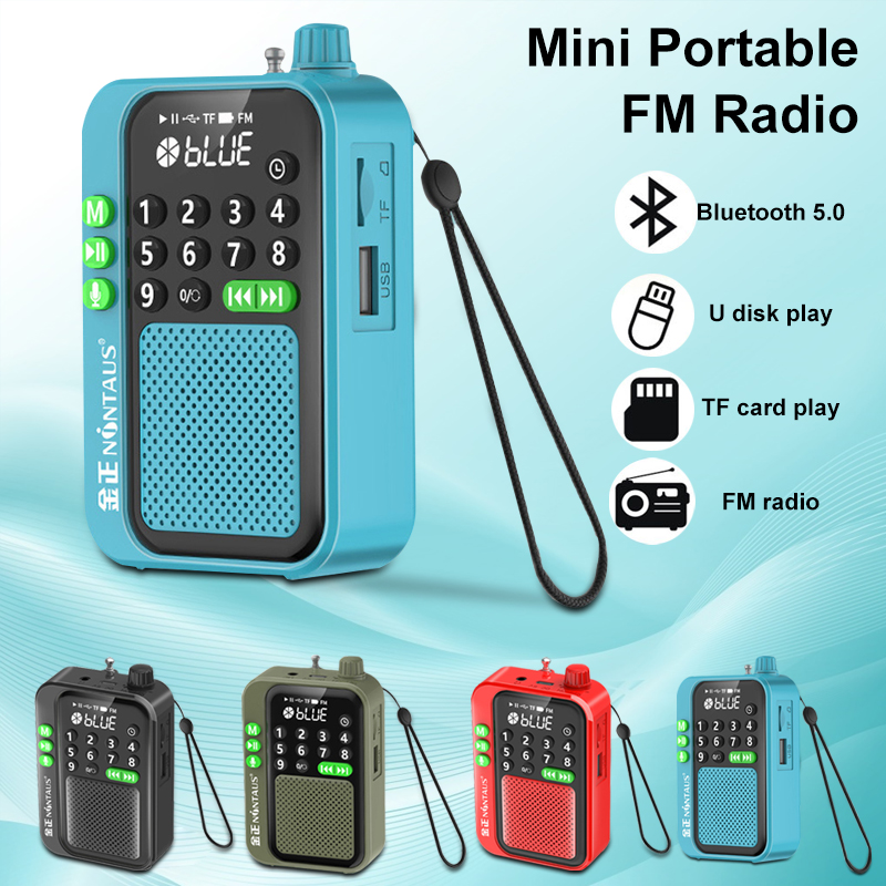 Mini Portable FM Radio Bluetooth Speaker with TF Card & U Disk Music Player Wireless, HD Recording, and Timer Shutdown