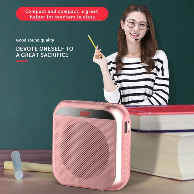 Portable Voice Amplifier with Microphone for Teachers and Tour Guides