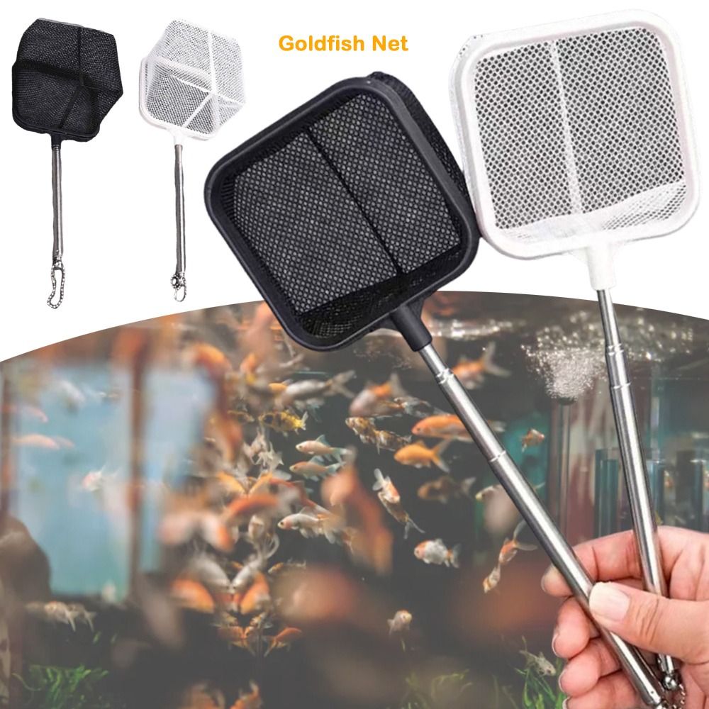 Telescopic Shrimp Net, Long Handle Goldfish Net, White Extendable Fish Nets