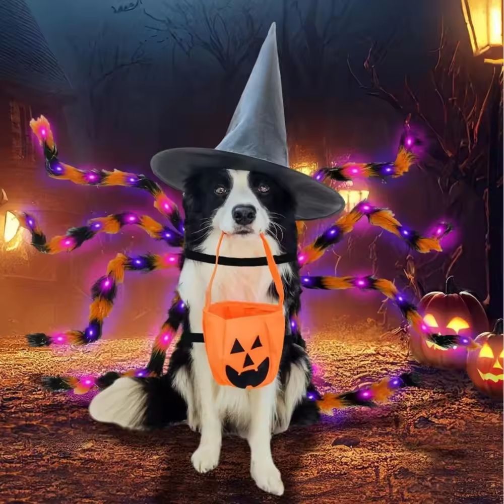 Light-Up dog spider costume with Purple LEDs for Large Dogs