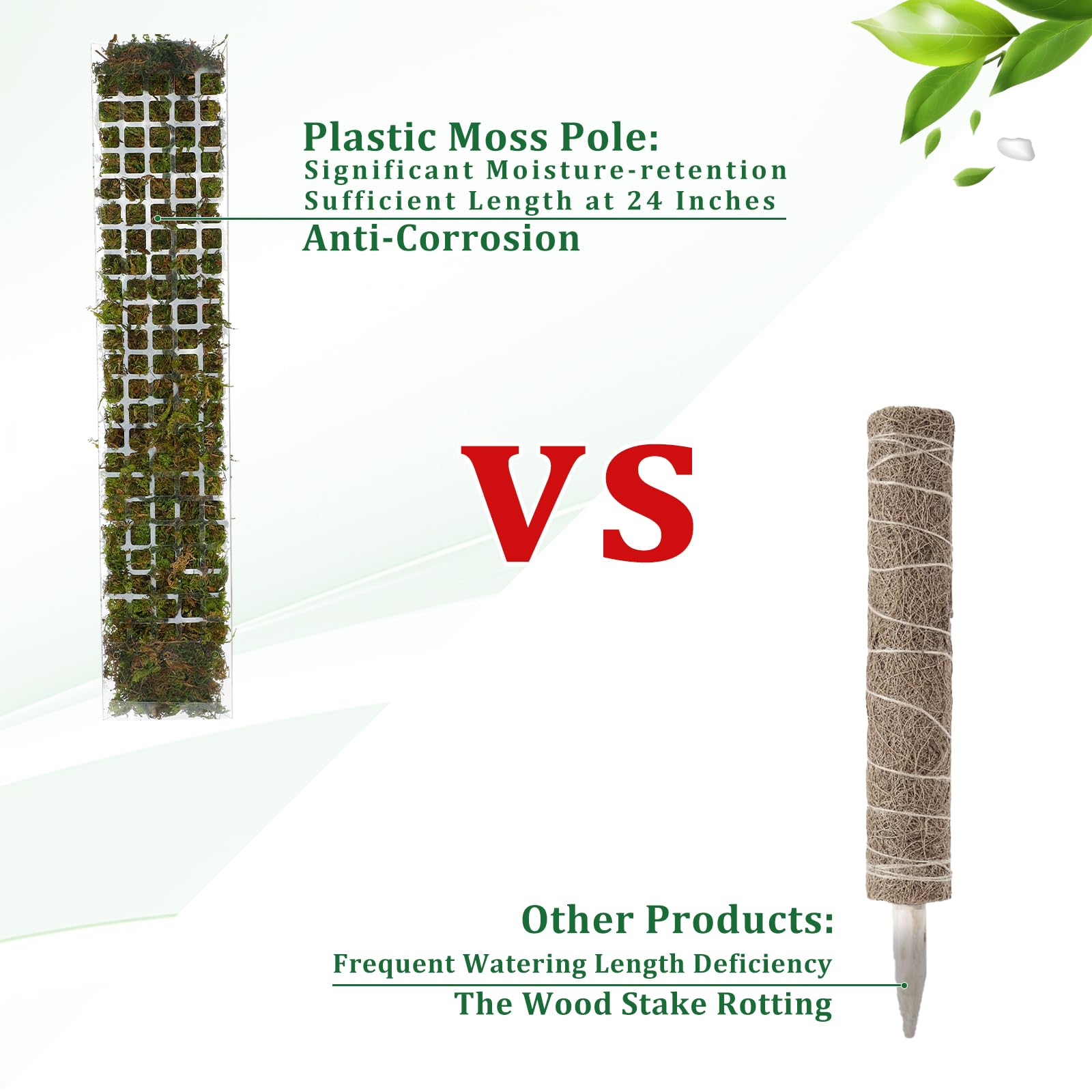 Moss Pole for Indoor Plants Plant Stand for Climbing Plant Growth