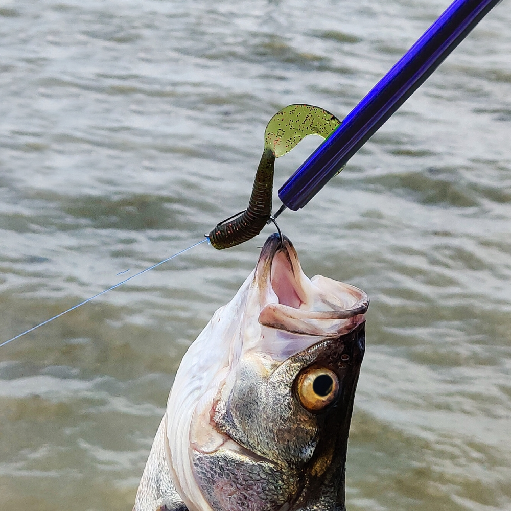 Easy Fish Hook Remover