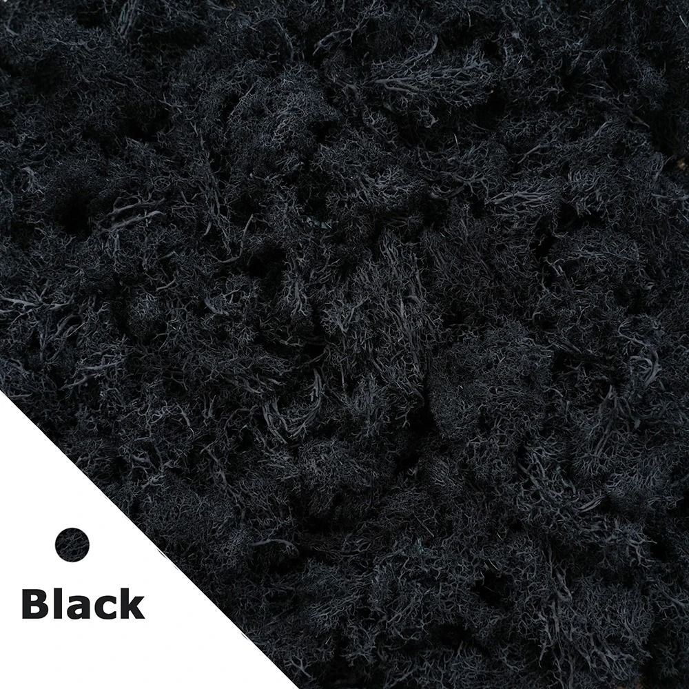Premium Eternal Life Preserved Artificial Moss Grass
