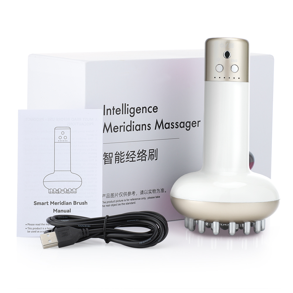 Electric Lymphatic Drainage Machine & Meridian Massager with Microcurrent