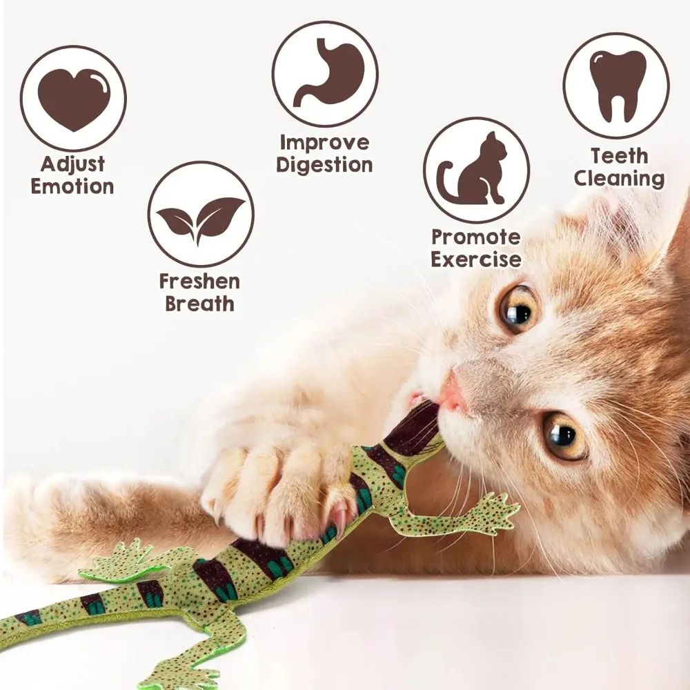 Bite-Resistant Catnip Lizard Chew Toy – Teeth Cleaning Interactive Indoor Cat Toy for Kittens & Cats (Halloween Gift)