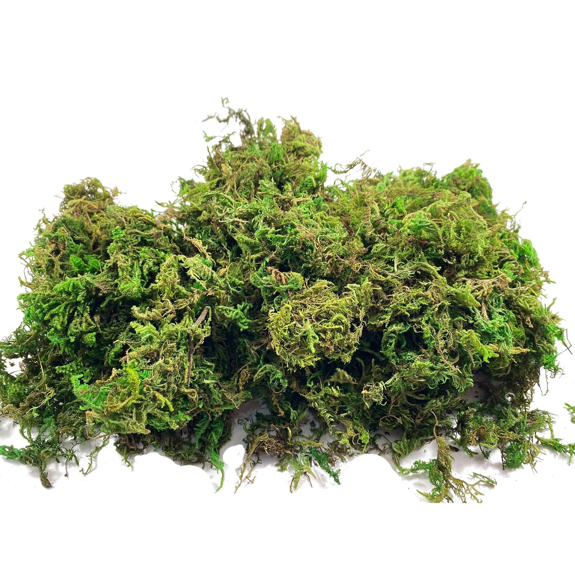 Premium Artificial Fake Moss – Preserved Style Craft Moss for Potted Plants, Terrariums, and Table Centerpieces