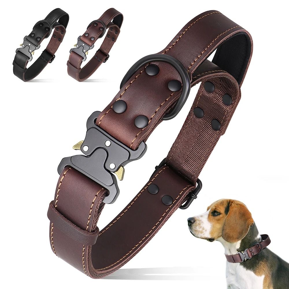 Genuine Leather Dog Collar with Handle and Safety Buckle for Medium and Large Dogs