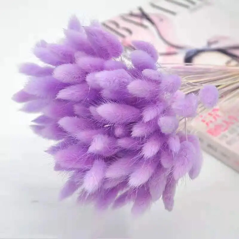 Dried Flower Rabbit Tail Bouquet 30/60pcs Home Decor Fluffy Pampas Floral Arrangement Rustic Wedding Table Decoration