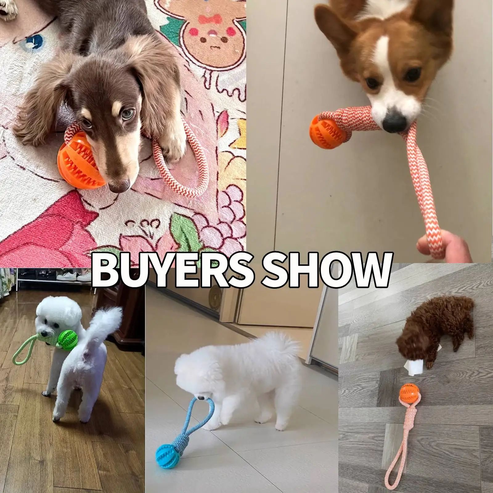 Interactive Chew And Treat Dog Toy Balls