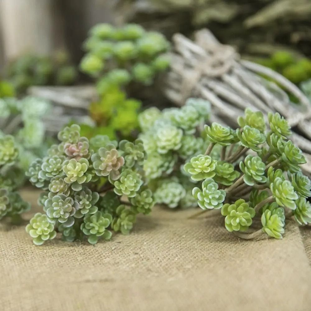 Mini Artificial Cactus Plant – High-Performance 24-Head Realistic Succulent & Real Touch Micro Landscape Decoration