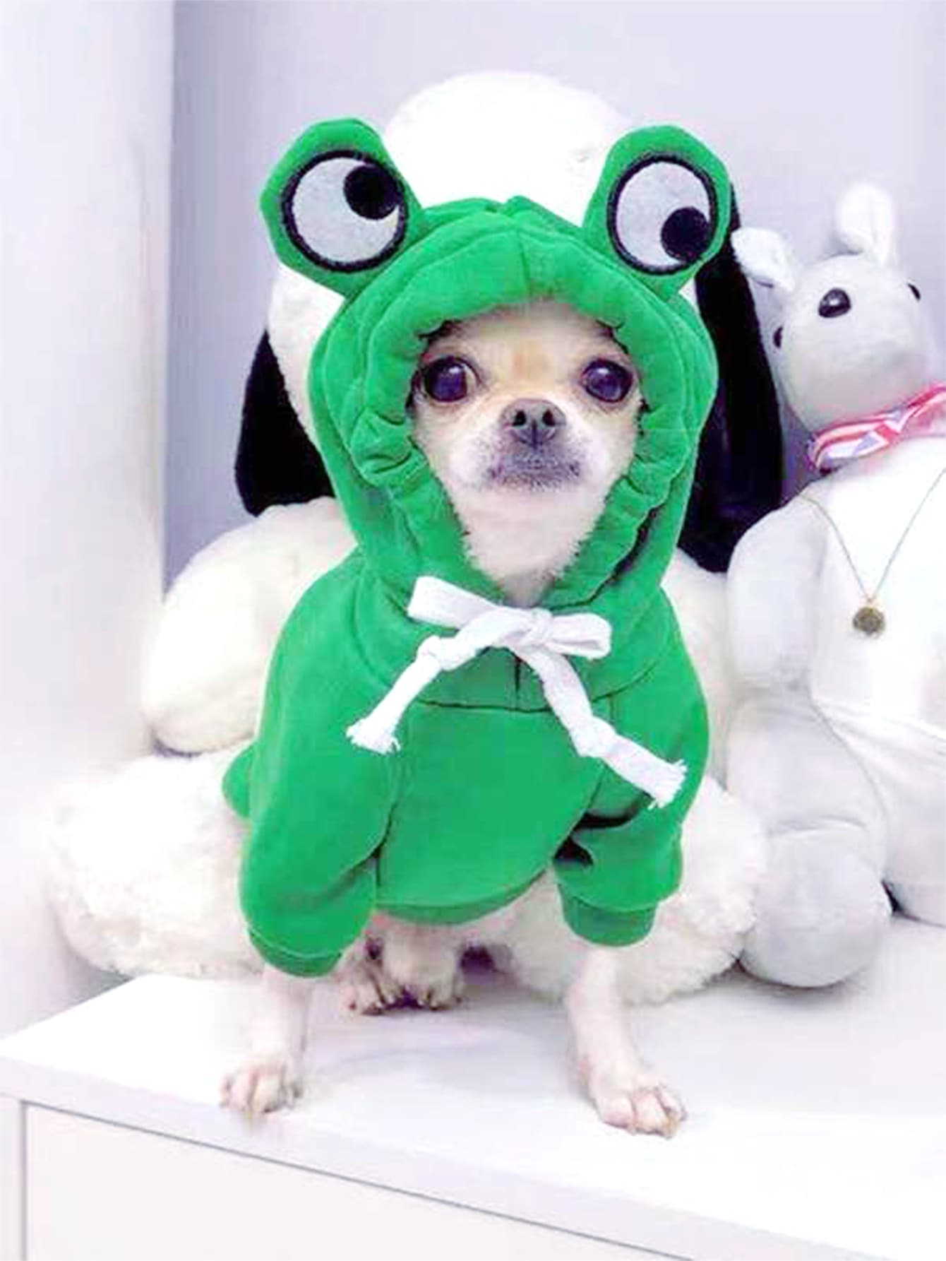 Cozy Frog Hoodie for Small & Medium Dogs Fun & Stylish Pet Sweater