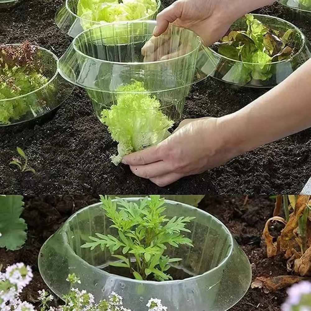 Vegetable Garden Plant Protective Cover, Agricultural Mini Greenhouse, Snail Collar Seedling Caps