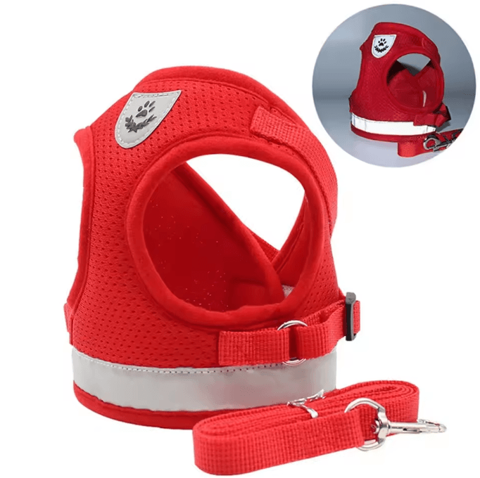 SafePaw Reflective Escape-Proof Cat Harness & Leash Set