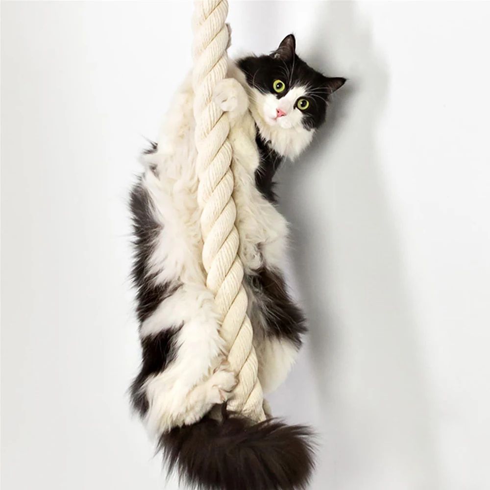 Wall Mounted Cat Climbing Shelf Tree