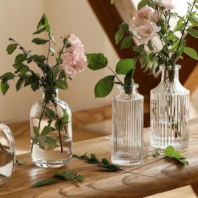 Mini Transparent Nordic Glass Vase – High-Performance Hydroponic Plant Vase & Modern Living Room Ornament