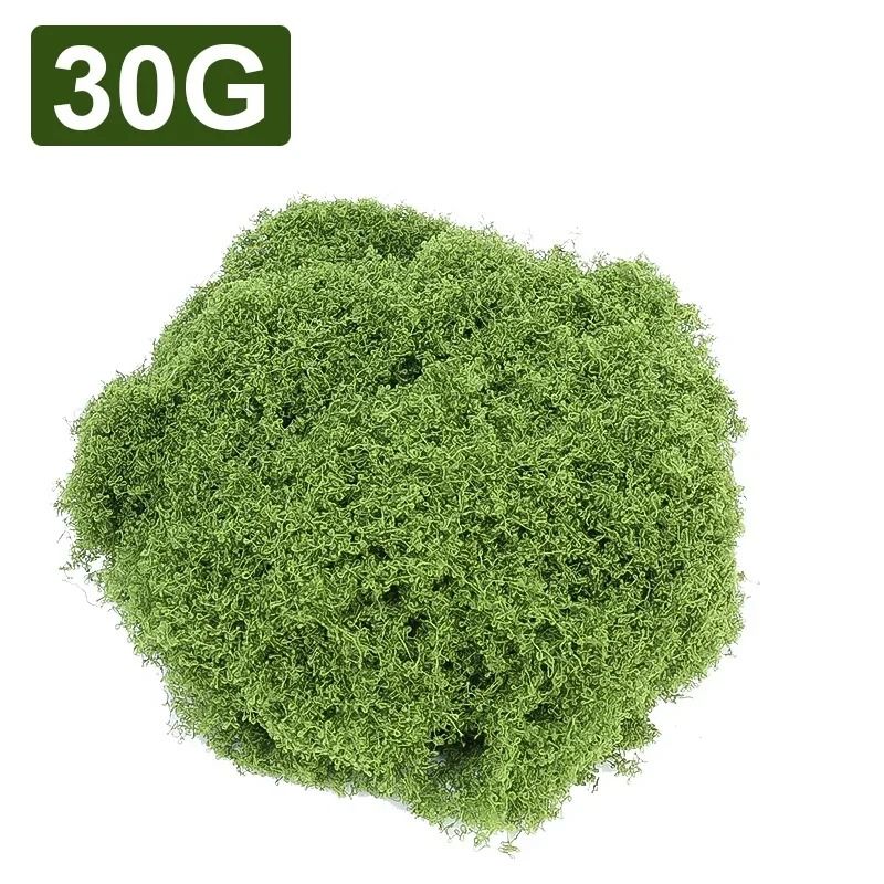 Botanical Architectural Eternal Life Simulated Moss