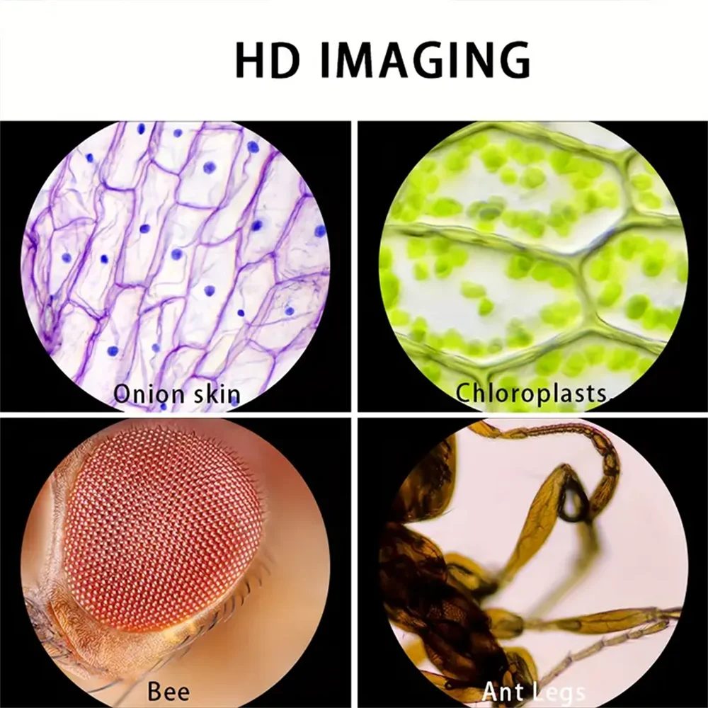 Handheld Microscope with LED Light  Battery Powered Kids Science Microscope