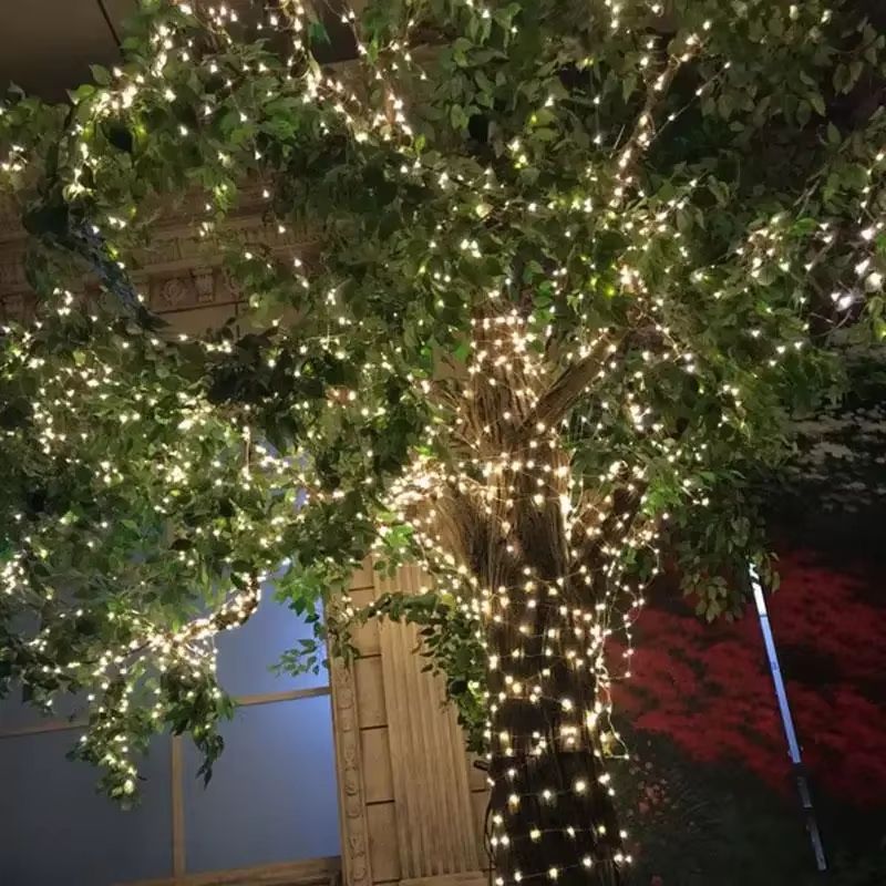 Waterproof Copper Wire Fairy Lights LED Garland String for Home and Events