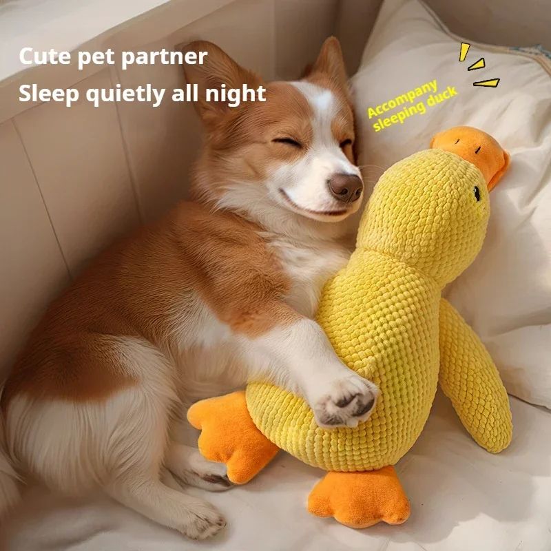 QuackBuddy Plush Squeaky Duck Dog Toy – Interactive Chew & Comfort Companion