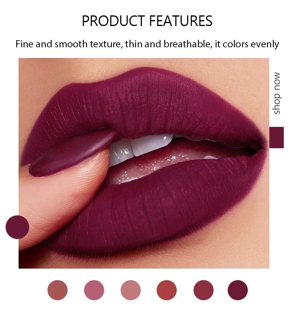 Velvet Matte Lipstick Set Long Lasting and Waterproof