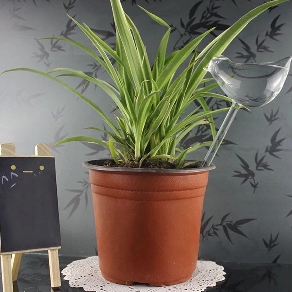Self-Watering Plant Glass Bulbs