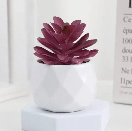Artificial Succulent Bonsai Set – Mini Evergreen Cactus Plants for Desk & Home Decor
