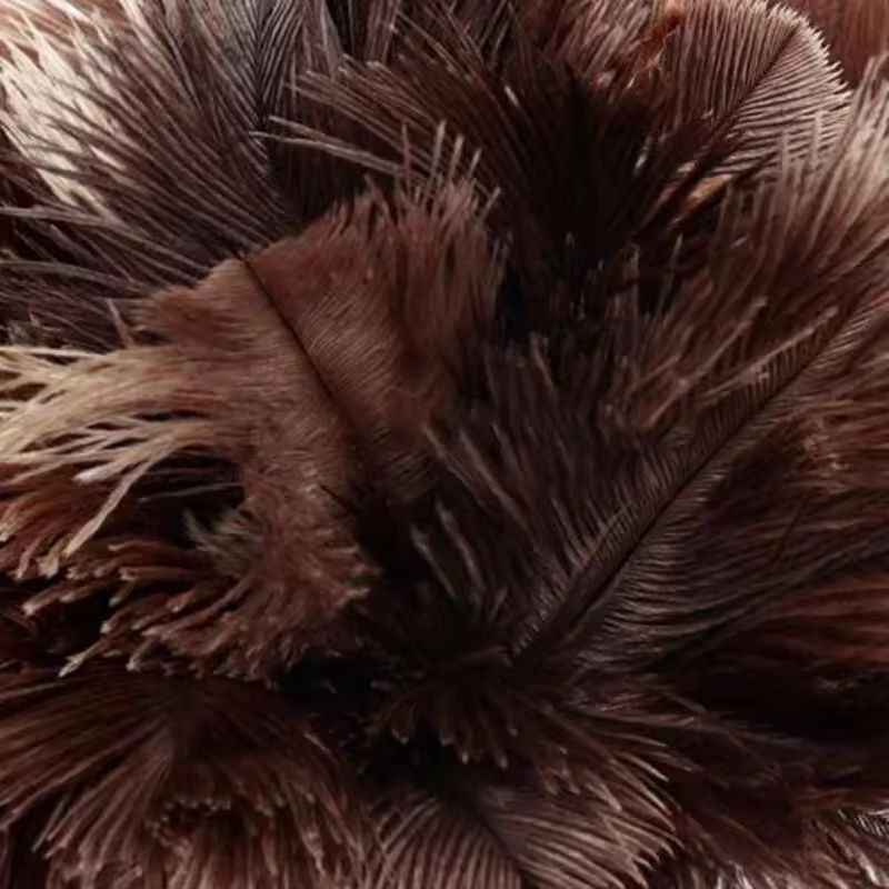 Premium Wooden-Handle Ostrich Feather Duster – Anti-Static Home Dust Brush