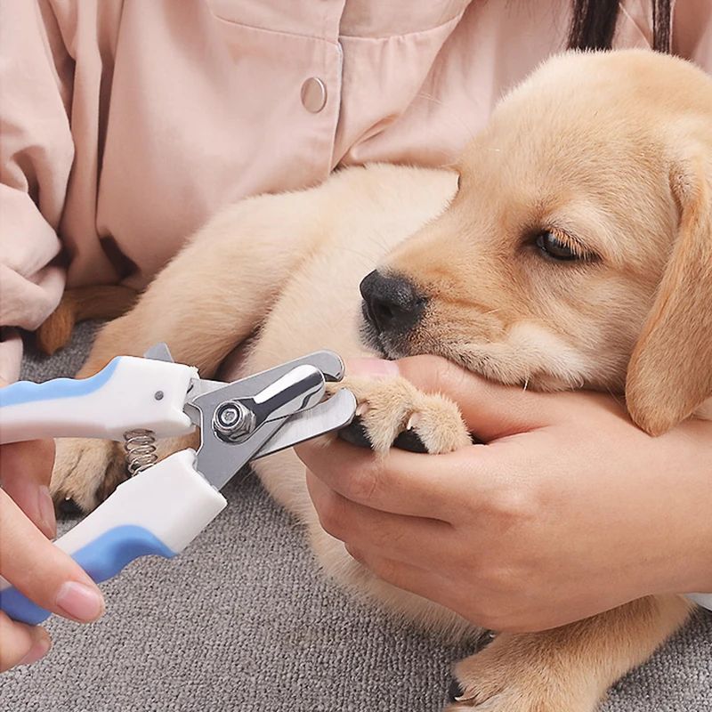 Pet Nail Clipper Grooming Scissors