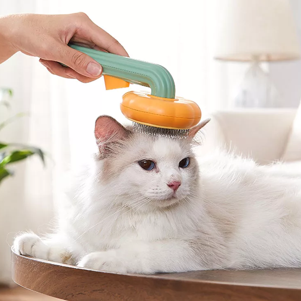 Pumpkin Pop Pet Brush