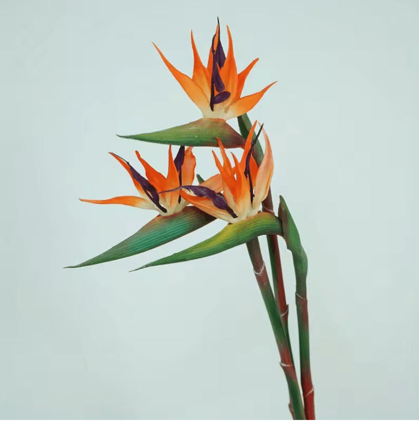 Artificial Bird of Paradise Flowers with Long Stems for Tropical Home and Party Decor