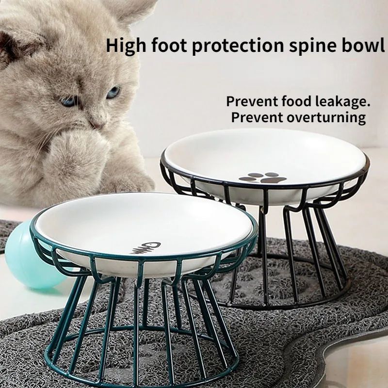 Elevated Ceramic Pet Food Bowl with Stand