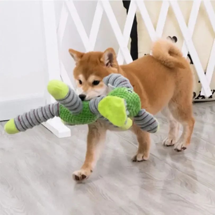 Durable Squeaky Plush Dog Chew Toy