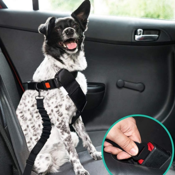 Retractable Pet Car Seat Belt Heavy Duty Safety Buckle for Dogs with Elastic Nylon Traction