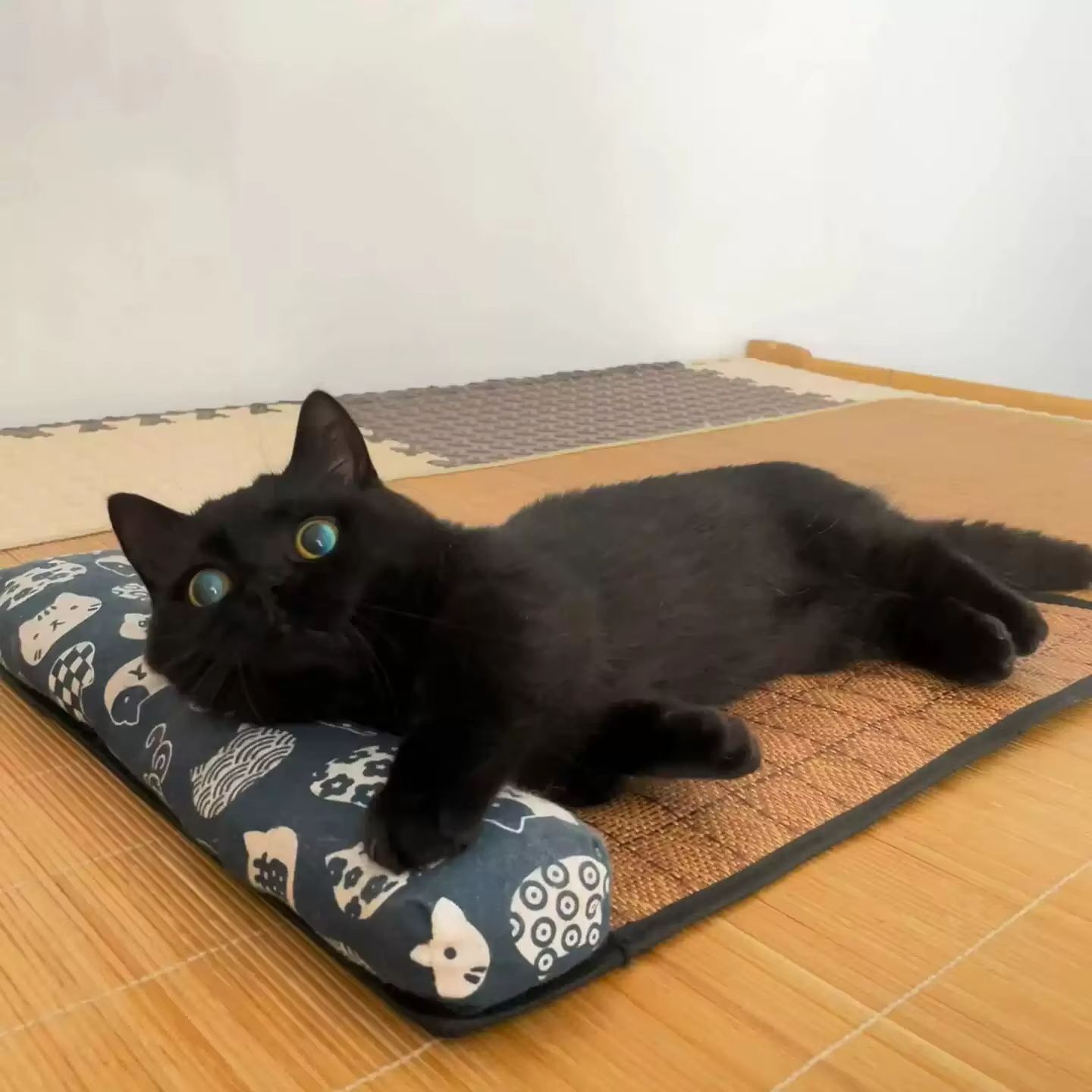 Natural Rattan Cooling Mat for Cats and Dogs – Breathable Summer Pet Bed Pad