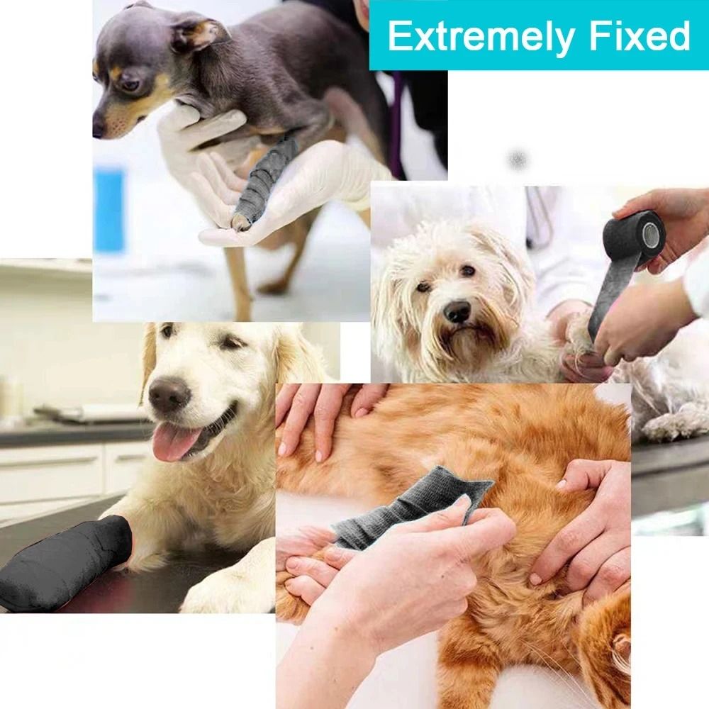 Multi-Purpose Self-Adhesive Athletic Wrap (10-Roll Set)