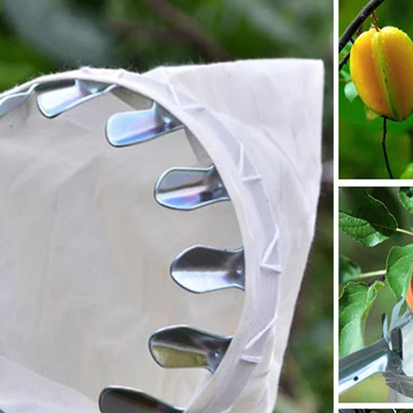 Detachable Farm Fruits Collector, Orchard Apple Pears Orange High Tree Picking Tool, Fruit Catcher Pouch